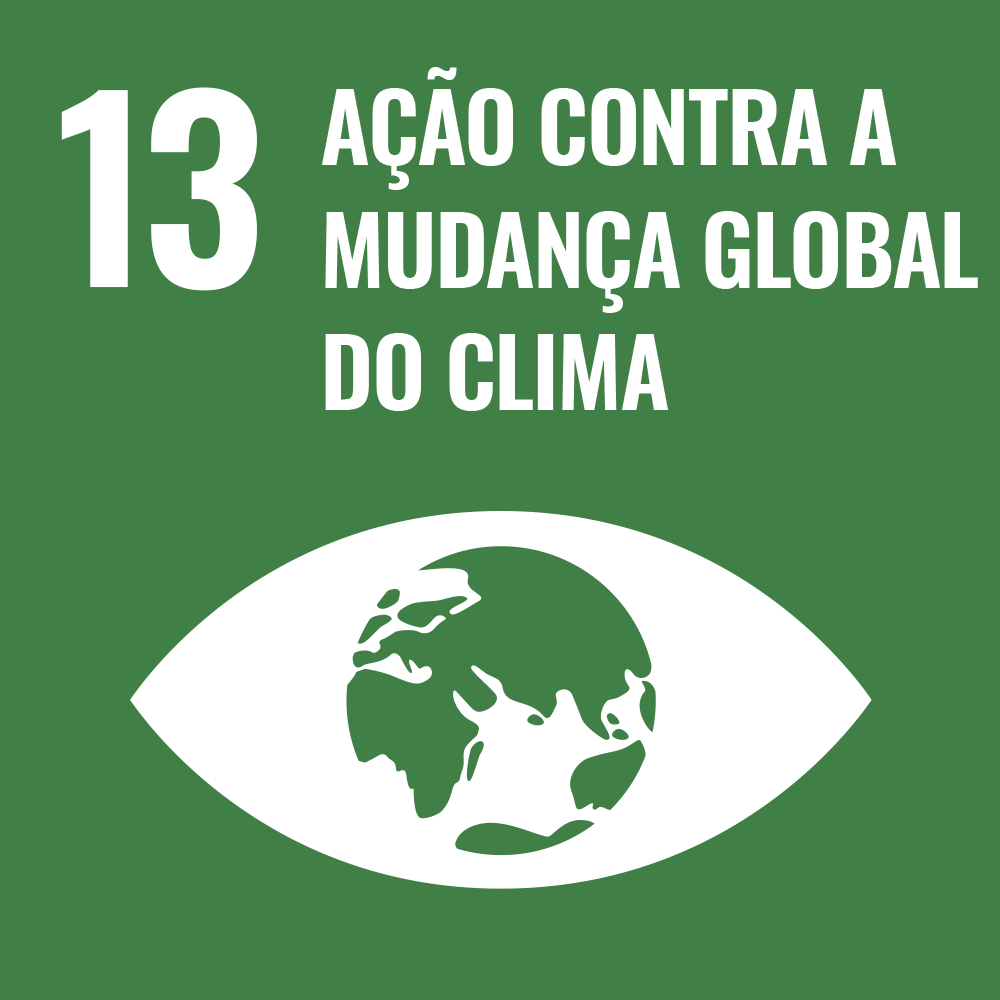 ODS 13 — Ação Contra a Mudança Global do Clima