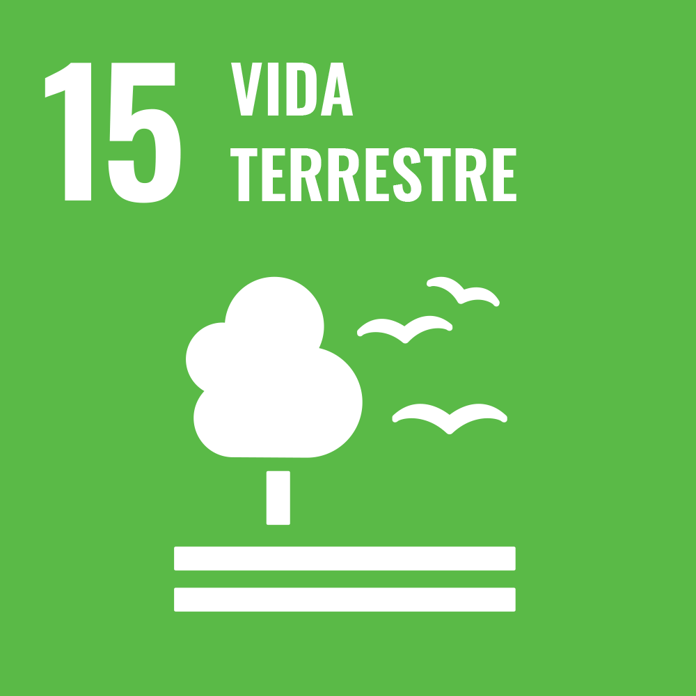 ODS 15 — Vida Terrestre