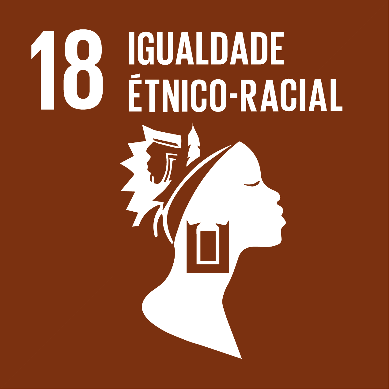 ODS 18 — Igualdade Étnico-Racial
